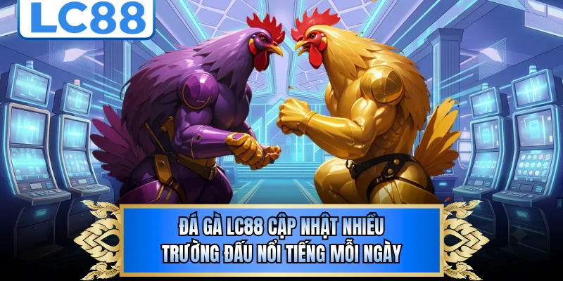 Đá gà LC88 cập nhật nhiều trường đấu nổi tiếng mỗi ngày