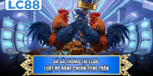 Đá Gà Thomo Tại LC88 - Luật Rõ Ràng Chuẩn Từng Trận